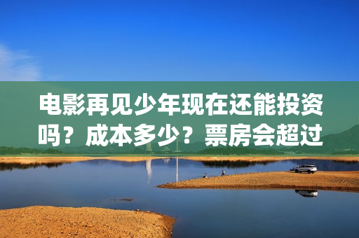 电影再见少年现在还能投资吗？成本多少？票房会超过我的姐姐吗？(电影再见少年真实事件原型)