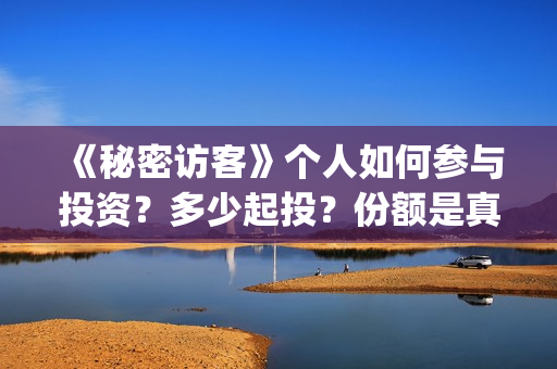 《秘密访客》个人如何参与投资？多少起投？份额是真实的吗？(秘密访客细节解说)