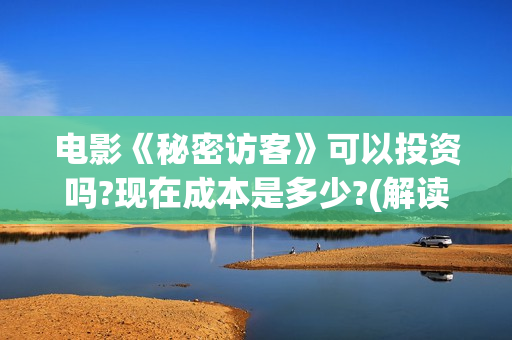 电影《秘密访客》可以投资吗?现在成本是多少?(解读电影秘密访客)