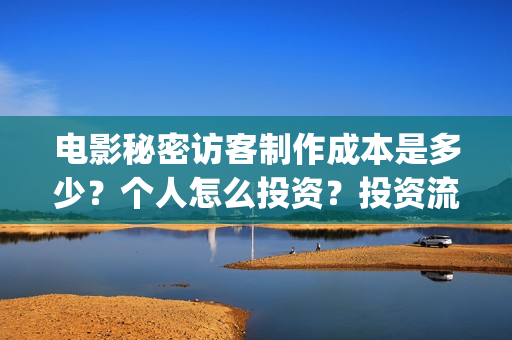 电影秘密访客制作成本是多少？个人怎么投资？投资流程是什么？(电影“秘密访客”)
