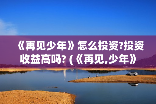 《再见少年》怎么投资?投资收益高吗? (《再见,少年》)