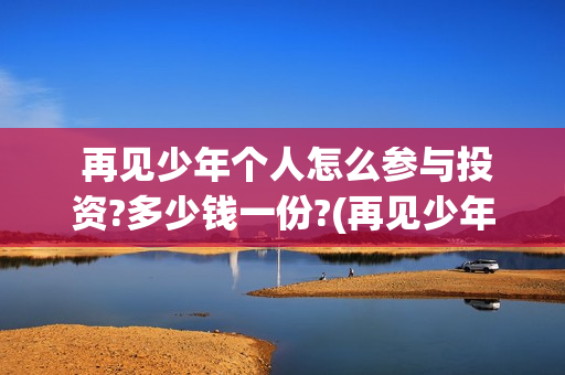  再见少年个人怎么参与投资?多少钱一份?(再见少年mv)