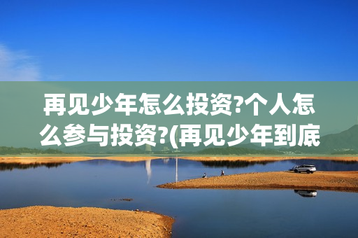 再见少年怎么投资?个人怎么参与投资?(再见少年到底怎么了)