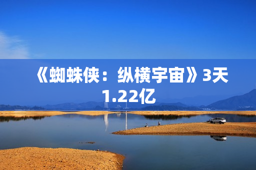 《蜘蛛侠：纵横宇宙》3天1.22亿