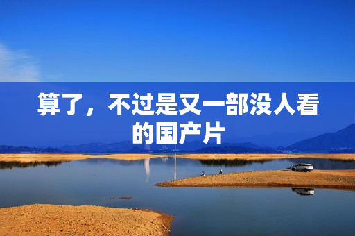 算了，不过是又一部没人看的国产片