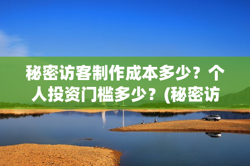 秘密访客制作成本多少？个人投资门槛多少？(秘密访客是什么类型)