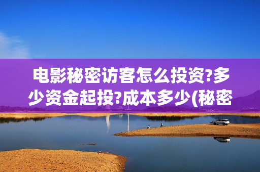 电影秘密访客怎么投资?多少资金起投?成本多少(秘密访客 hd)