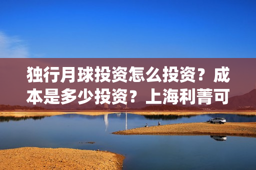 独行月球投资怎么投资？成本是多少投资？上海利菁可以投资吗？(独行月球成本)