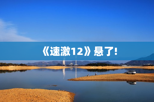 《速激12》悬了!