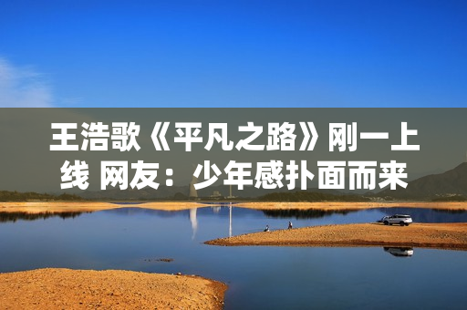 王浩歌《平凡之路》刚一上线 网友：少年感扑面而来