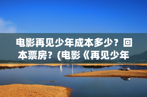 电影再见少年成本多少？回本票房？(电影《再见少年》)