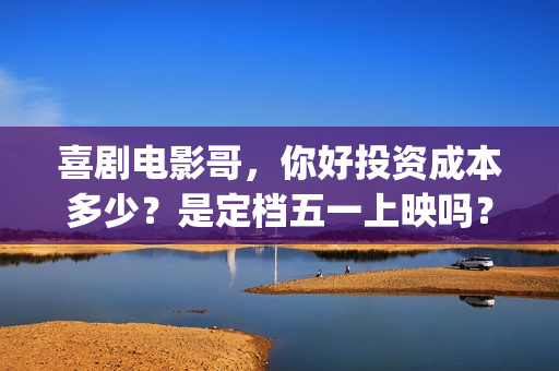 喜剧电影哥，你好投资成本多少？是定档五一上映吗？预估收益多少？(有个电影叫什么哥哥)