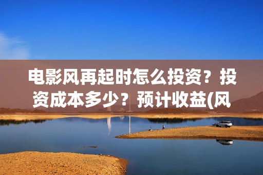 电影风再起时怎么投资？投资成本多少？预计收益(风再起时电影演员表)