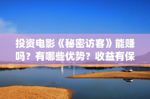 投资电影《秘密访客》能赚吗？有哪些优势？收益有保障吗？(秘密电影原著)