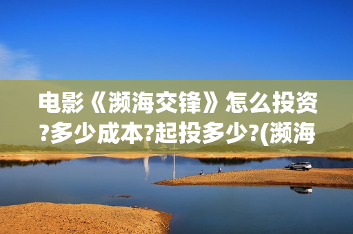 电影《濒海交锋》怎么投资?多少成本?起投多少?(濒海交锋电影怎么样)