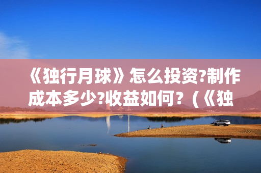 《独行月球》怎么投资?制作成本多少?收益如何？(《独行月球》怎么拍的)