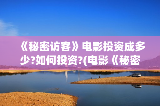 《秘密访客》电影投资成多少?如何投资?(电影《秘密访客》)