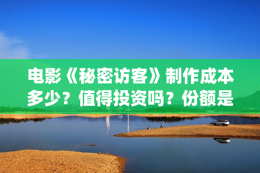 电影《秘密访客》制作成本多少？值得投资吗？份额是真实的吗？(电影《秘密访客》演员表)