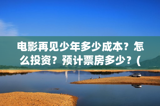 电影再见少年多少成本？怎么投资？预计票房多少？(《再见少年》)