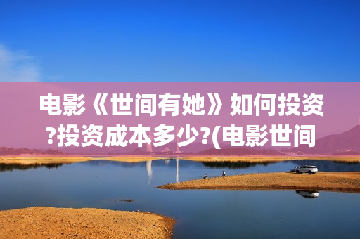 电影《世间有她》如何投资?投资成本多少?(电影世间有她剧情介绍)