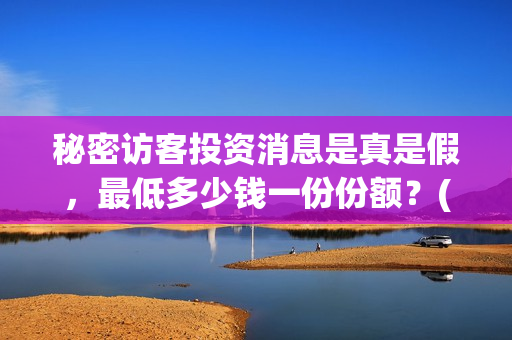 秘密访客投资消息是真是假，最低多少钱一份份额？(秘密访客自首)