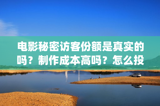 电影秘密访客份额是真实的吗？制作成本高吗？怎么投资？(秘密访客电影啥意思)