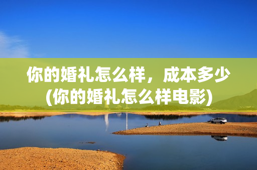 你的婚礼怎么样，成本多少(你的婚礼怎么样电影)
