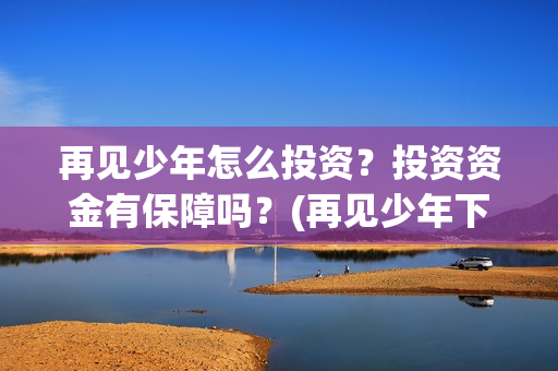 再见少年怎么投资？投资资金有保障吗？(再见少年下架)
