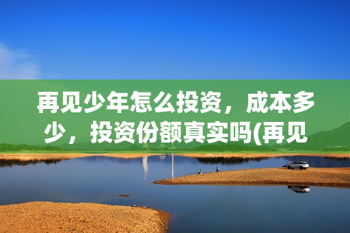 再见少年怎么投资，成本多少，投资份额真实吗(再见少年总投资是多少)