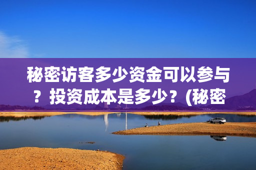 秘密访客多少资金可以参与？投资成本是多少？(秘密访客多少分钟)