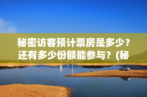 秘密访客预计票房是多少？还有多少份额能参与？(秘密访客预售)