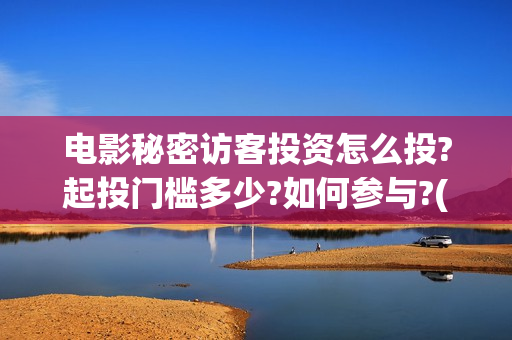 电影秘密访客投资怎么投?起投门槛多少?如何参与?(秘密访客电影啥意思)