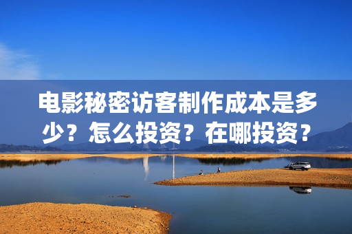 电影秘密访客制作成本是多少？怎么投资？在哪投资？(电影秘密访客制片人是谁)