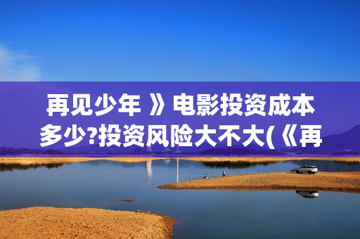 再见少年 》电影投资成本多少?投资风险大不大(《再见少年》)