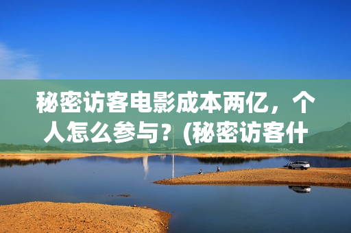 秘密访客电影成本两亿，个人怎么参与？(秘密访客什么电影)
