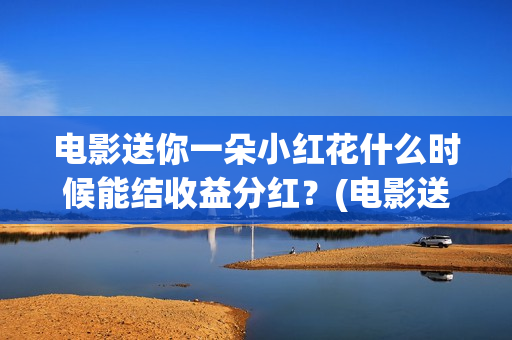 电影送你一朵小红花什么时候能结收益分红？(电影送你一朵小红花讲述的主题是抗癌吗)