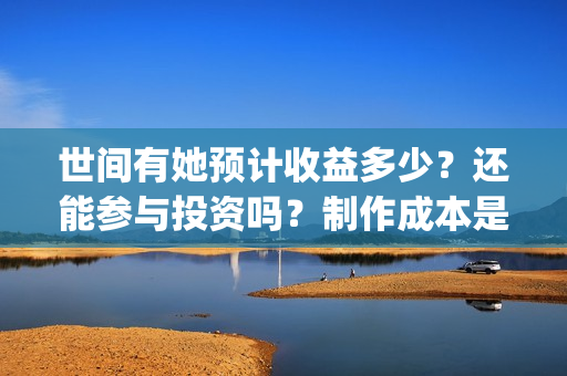 世间有她预计收益多少？还能参与投资吗？制作成本是多少？(世间有她剧情)
