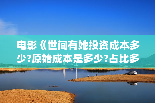 电影《世间有她投资成本多少?原始成本是多少?占比多少?(世间有她电影预告片)