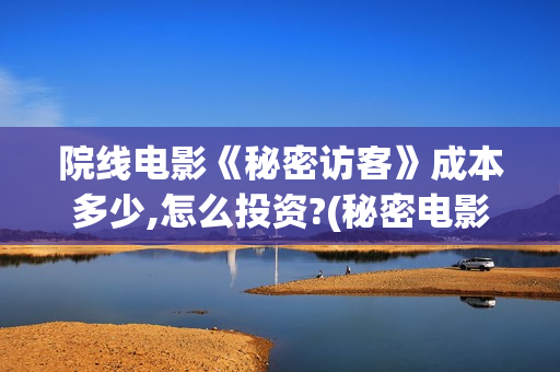 院线电影《秘密访客》成本多少,怎么投资?(秘密电影百度百科)