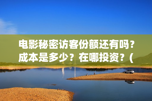 电影秘密访客份额还有吗？成本是多少？在哪投资？(电影秘密访客深度解析)