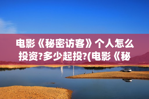 电影《秘密访客》个人怎么投资?多少起投?(电影《秘密访客》)