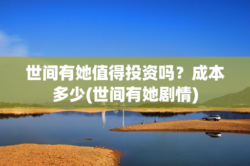世间有她值得投资吗？成本多少(世间有她剧情)
