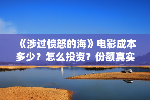 《涉过愤怒的海》电影成本多少？怎么投资？份额真实吗？(涉过愤怒的海剧情解析)