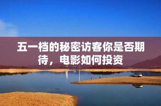 五一档的秘密访客你是否期待，电影如何投资