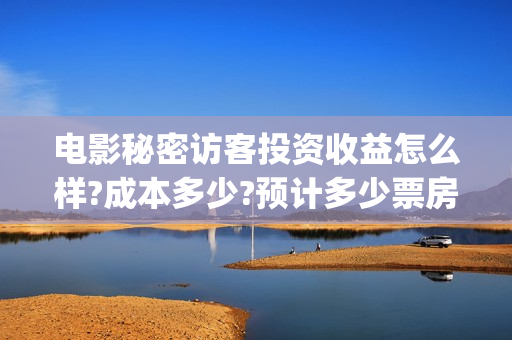 电影秘密访客投资收益怎么样?成本多少?预计多少票房?(秘密访客电影投资效果价目表)