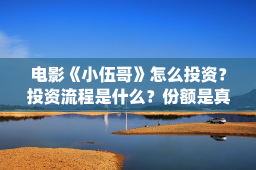 电影《小伍哥》怎么投资？投资流程是什么？份额是真实的吗？(电影小伍哥上映时间)