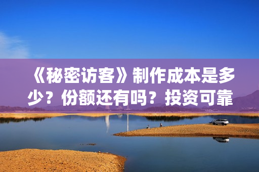 《秘密访客》制作成本是多少？份额还有吗？投资可靠吗？((秘密访客))