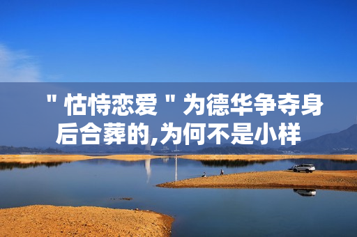 ＂怙恃恋爱＂为德华争夺身后合葬的,为何不是小样