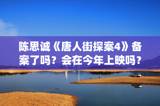 陈思诚《唐人街探案4》备案了吗？会在今年上映吗？投资可以参与吗？(唐人街导演陈思诚老婆)