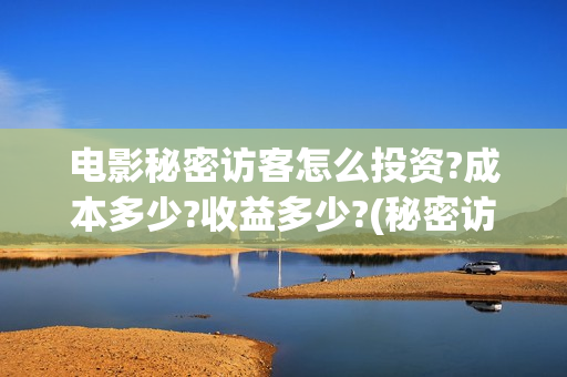电影秘密访客怎么投资?成本多少?收益多少?(秘密访客电影啥意思)